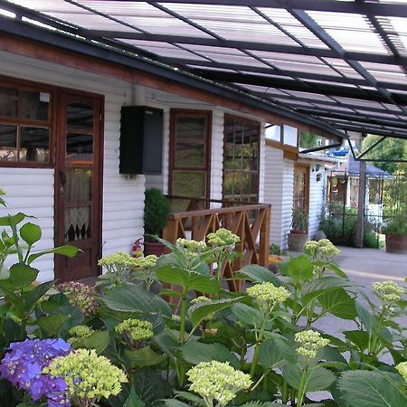 Complejo Cabanas Petalos Villarrica Exteriér fotografie