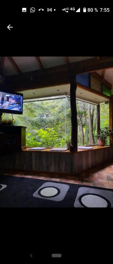 Complejo Cabanas Petalos Villarrica Exteriér fotografie