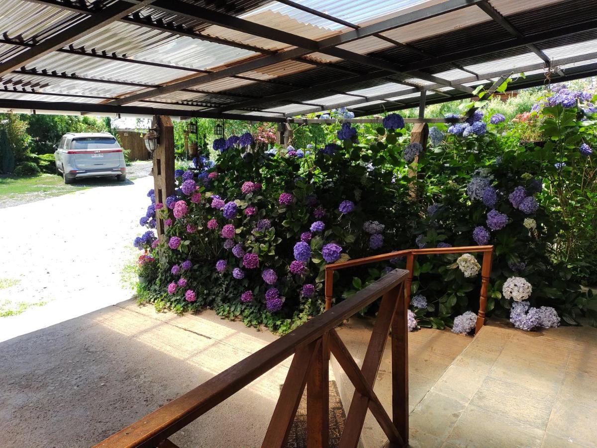 Complejo Cabanas Petalos Villarrica Exteriér fotografie