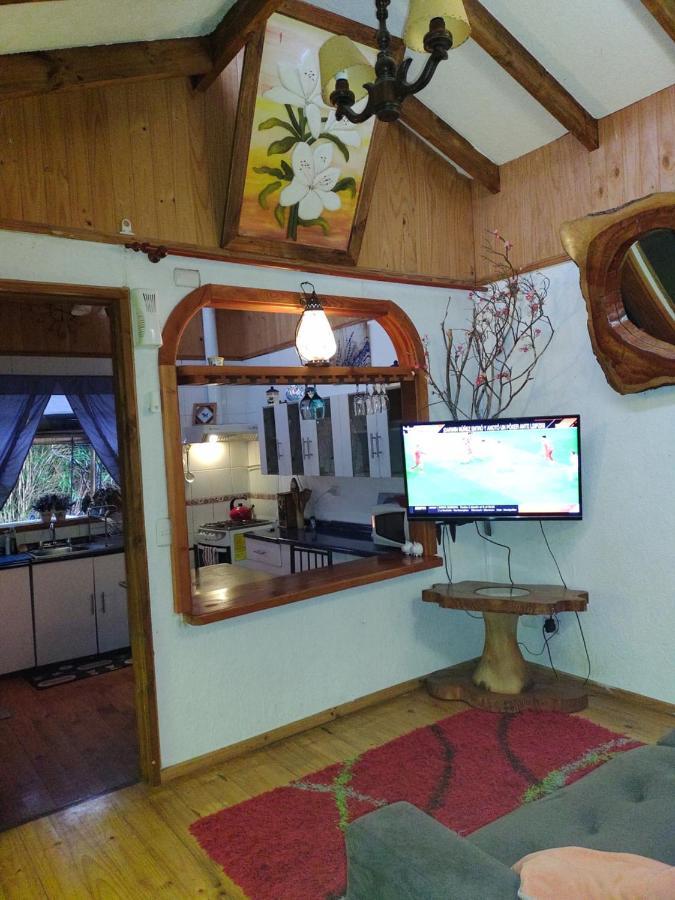 Complejo Cabanas Petalos Villarrica Exteriér fotografie