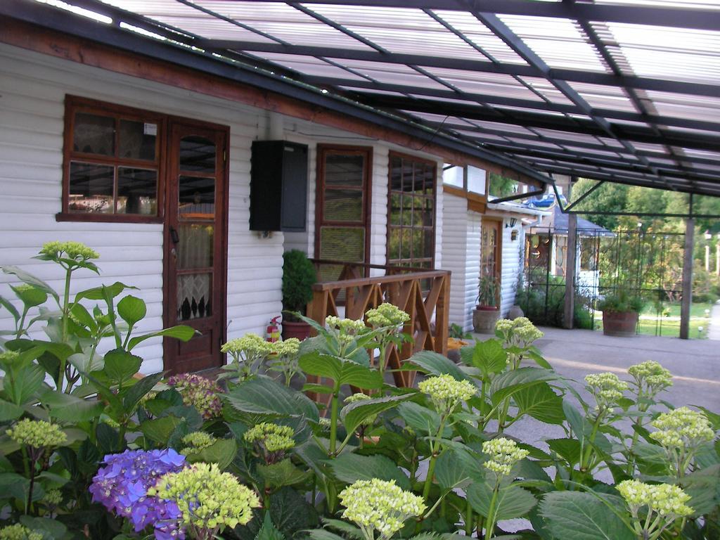 Complejo Cabanas Petalos Villarrica Exteriér fotografie