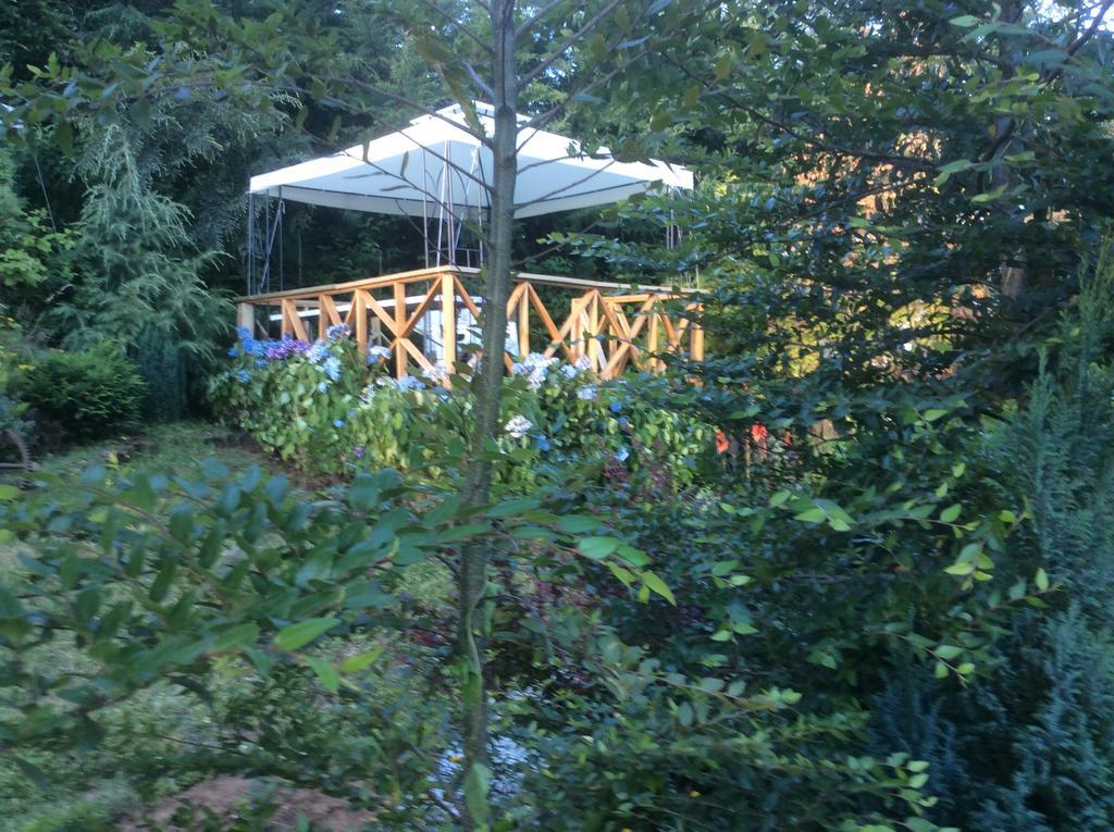 Complejo Cabanas Petalos Villarrica Exteriér fotografie