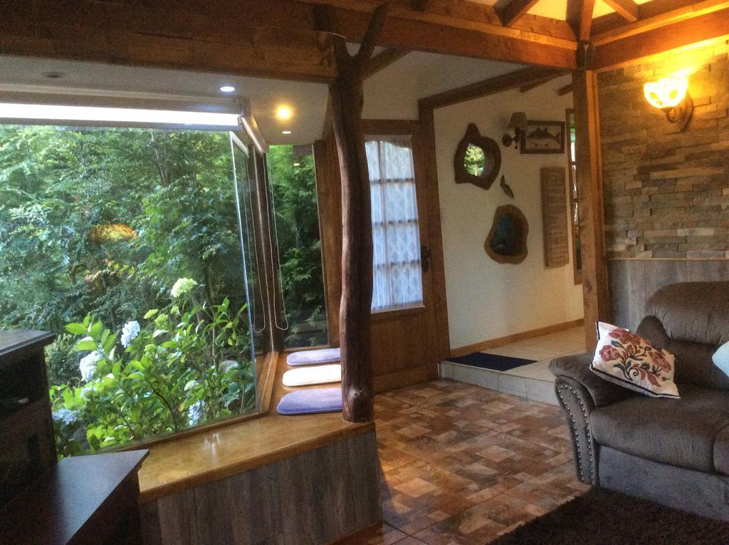 Complejo Cabanas Petalos Villarrica Exteriér fotografie